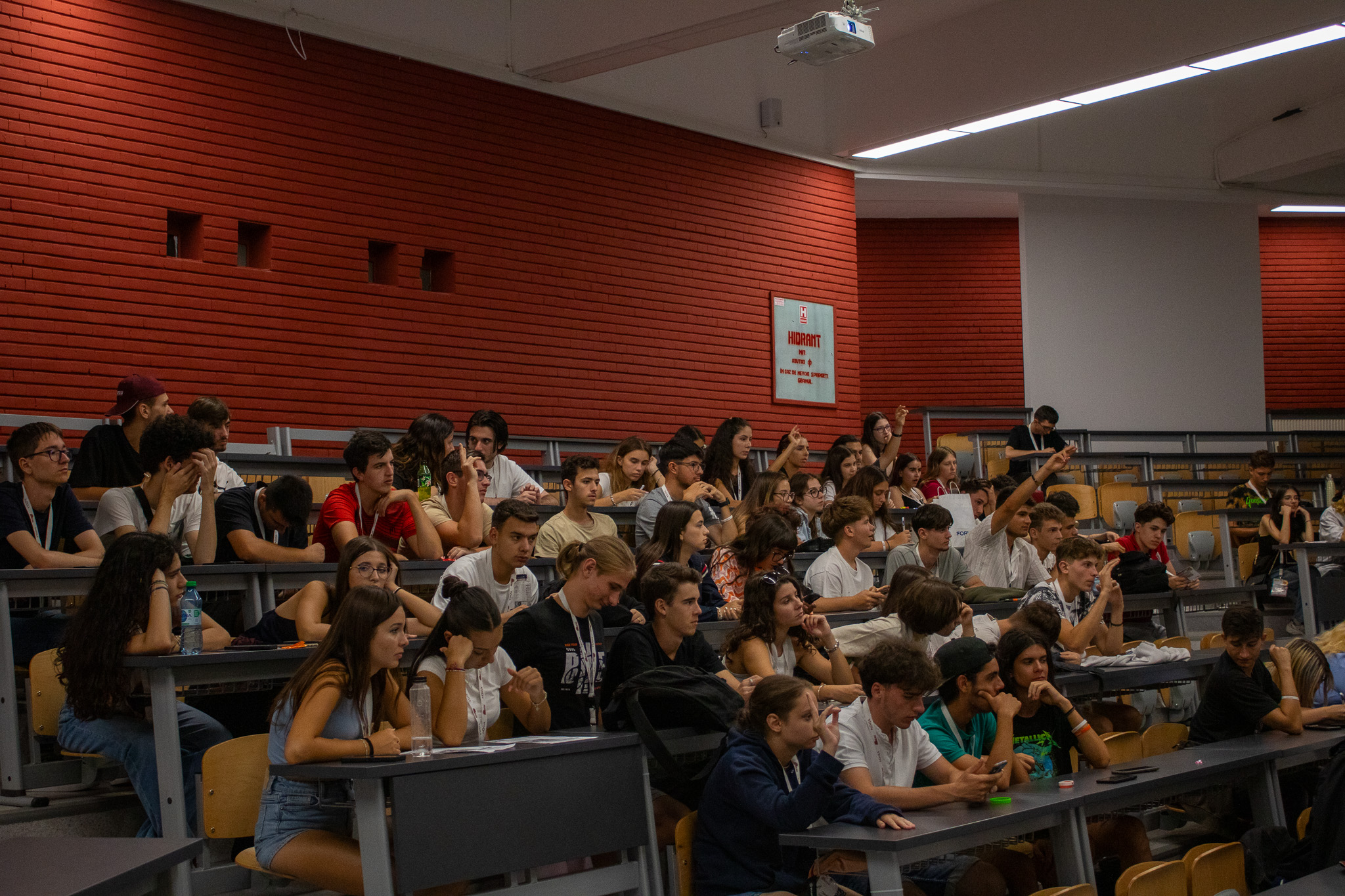 Petreceri și socializare